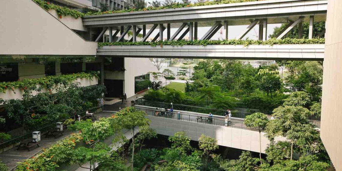 How to design a healing hospital environment